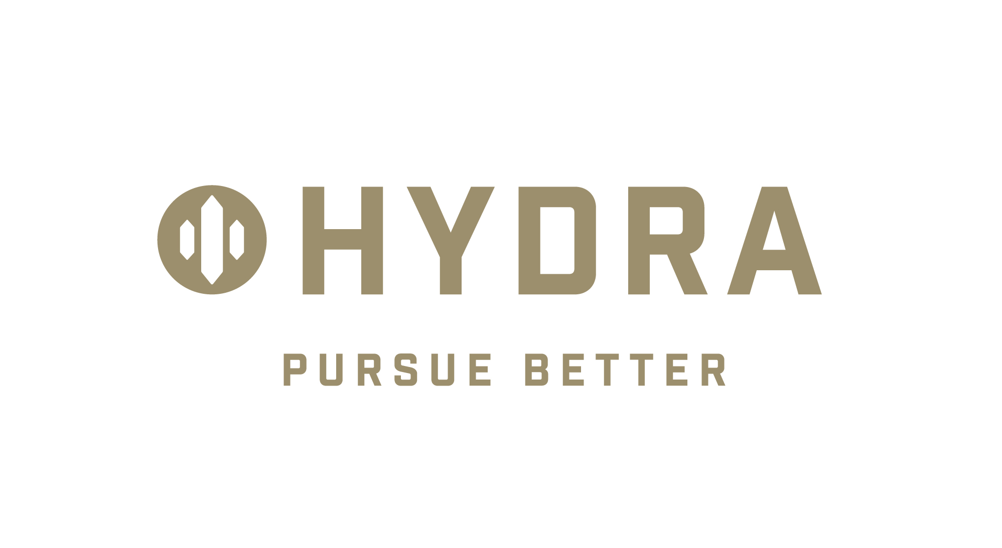 Hydra_Brand-Manual__Logo-with-Colour-copy-4