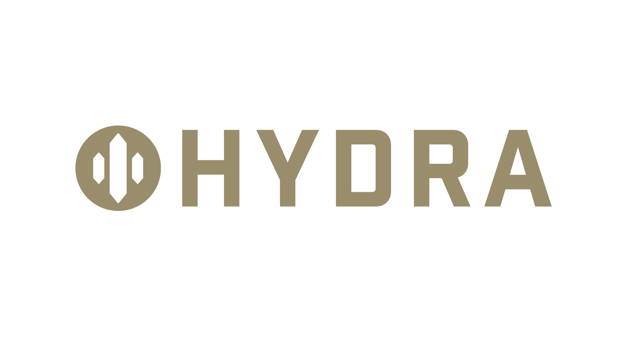 Hydra_Brand-Manual__Logo-with-Colour